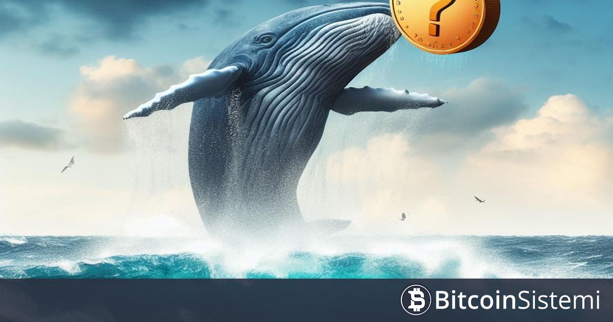 Alım Satımlarından 9 Milyon Dolar Kar Eden Balina, Altcoin Portföyünde Önemli Değişiklik Yaptı