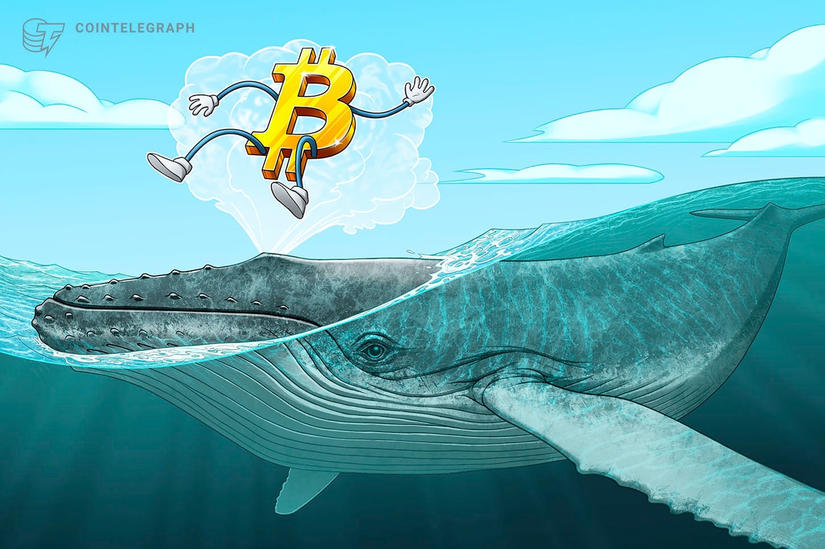 BTC rekora ulaştı ama balinalar satmaya yanaşmıyor
