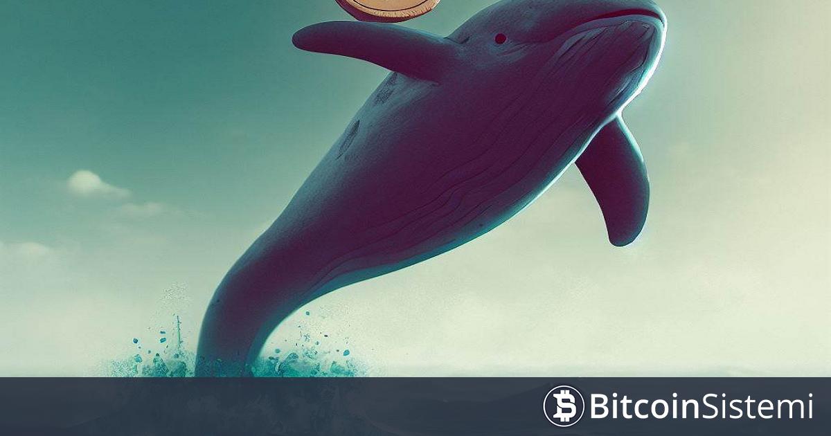 Bu Altcoinde Balinalar Şüpheli Aktivite Gösteriyor: Son Beş Gün İçinde Taze Balinalar 34 Milyon Dolarlık Satın Aldı!