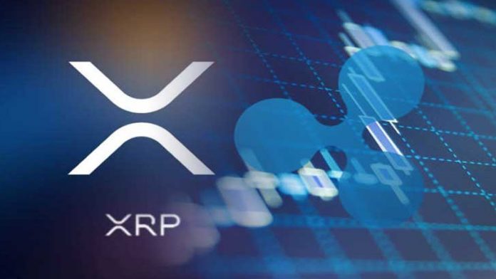 Ripple ve XRP