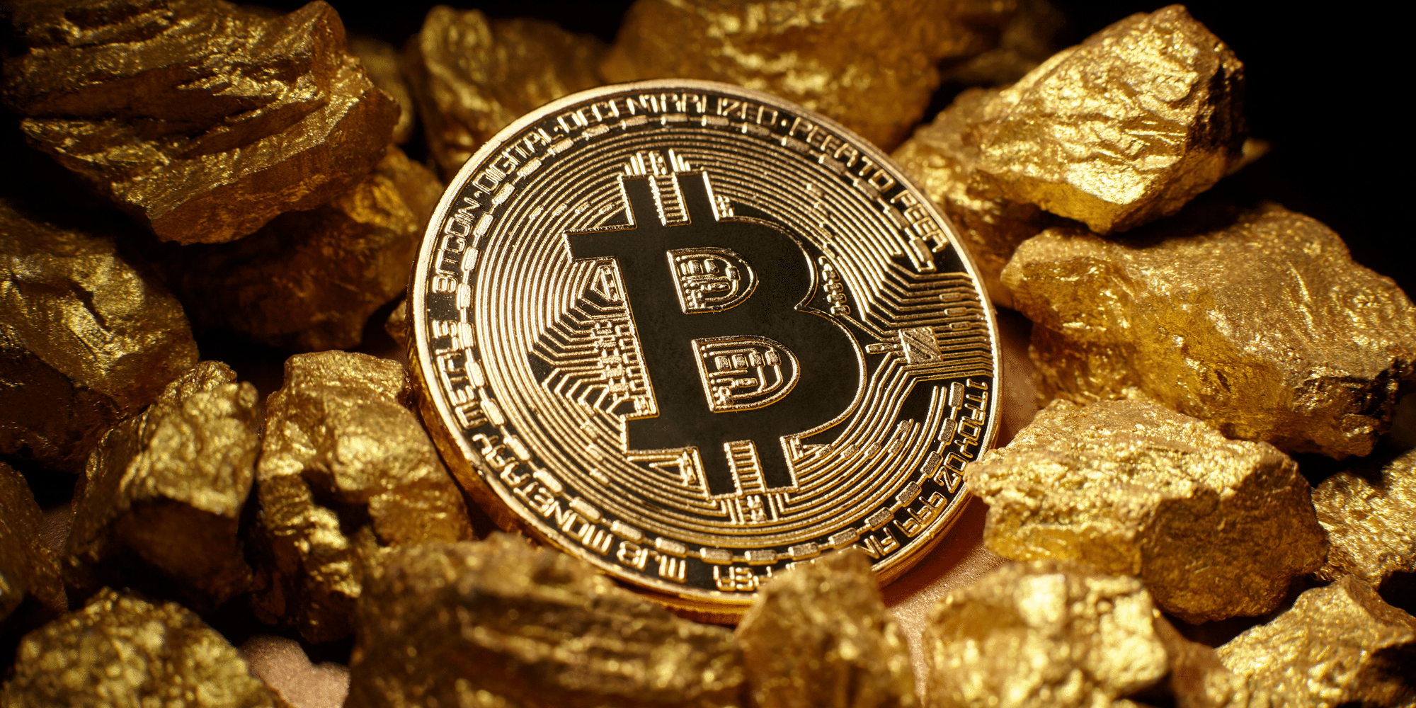 Fidelity Yöneticisi: Bitcoin ve Altın Aynı Takımda