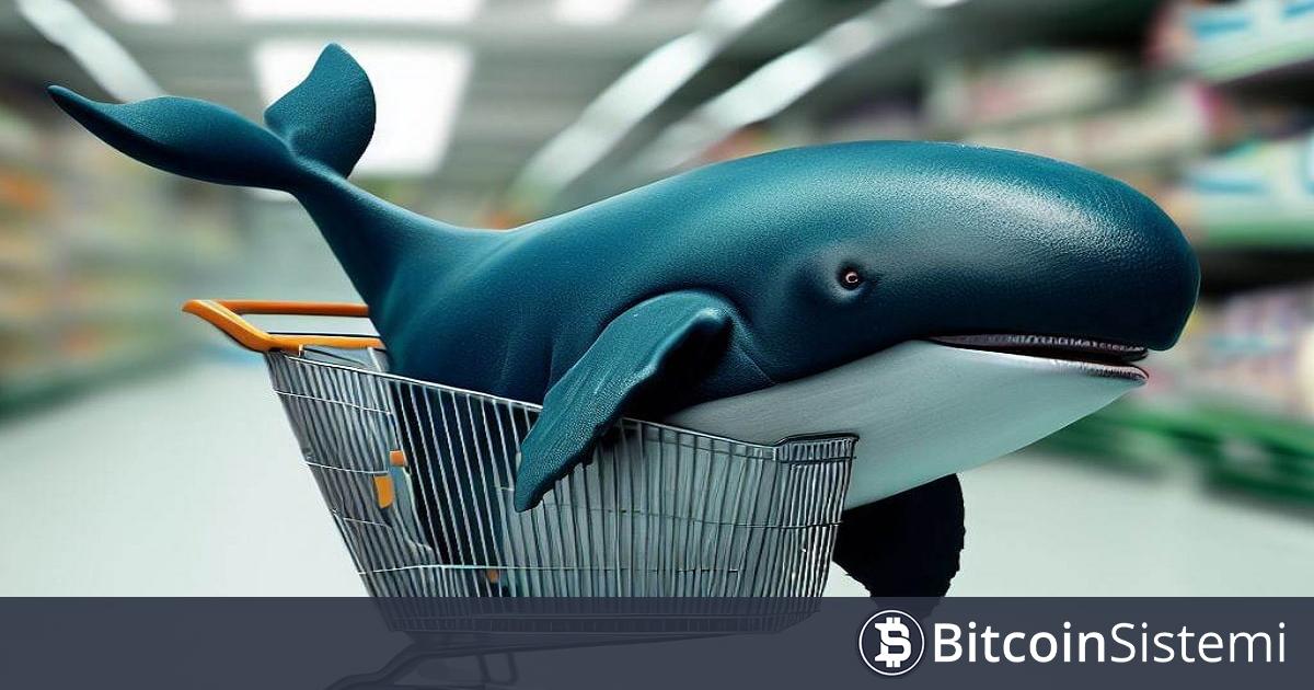 Son Bir Haftada Balinaların İlgisinin En Çok Arttığı Altcoinlerin Listesi Açıklandı!
