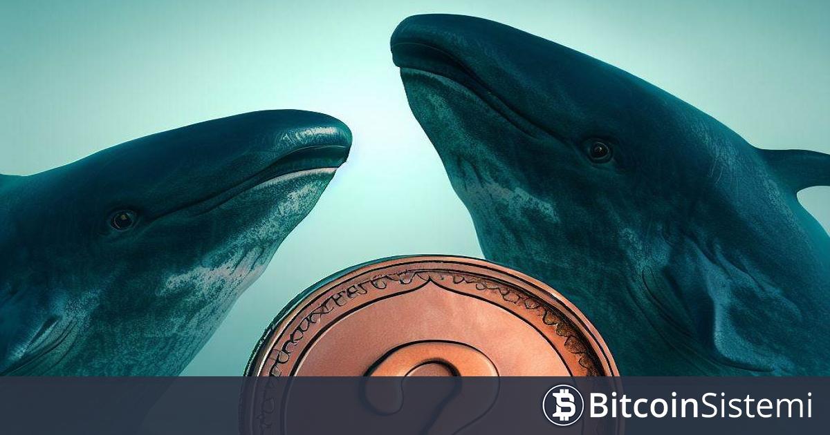 İki Büyük Balina, Bu Altcoinde Son Gelişmelerin Ardından Harekete Geçti: Borsadan Yüklü Miktarda Coini Soğuk Cüzdanlarına Taşıdılar