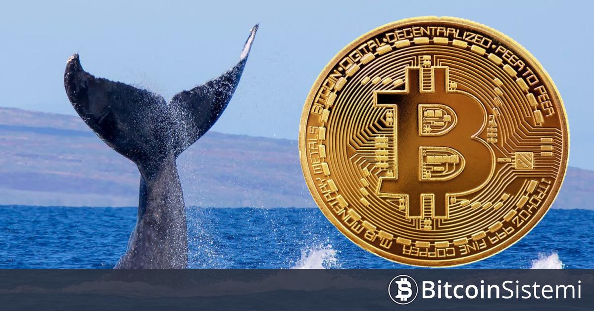 Milyarder Bitcoin (BTC) Balinası Harekete Geçti! Binance’ten Çok Yüklü Varlık Çekti! İşte Detaylar