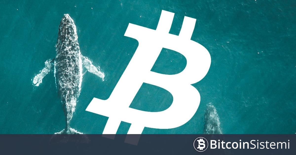 Analiz Şirketi, “Balinalar Bitcoin’e 88.000 Dolardan Short Girdi” Dedi, Anlamını Açıkladı!