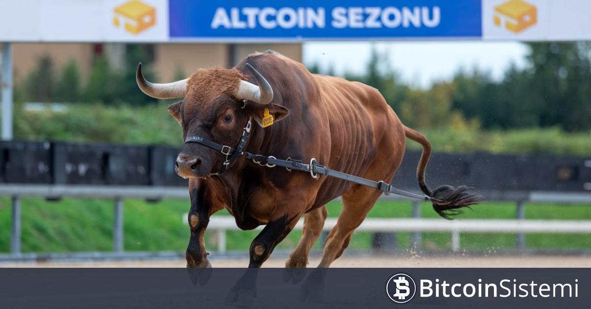 Analiz Şirketi CEO’su “Gerçek Altcoin Sezonu Başlamak Üzere” Dedi, En Boğa Olduğu Altcoinleri Paylaştı!