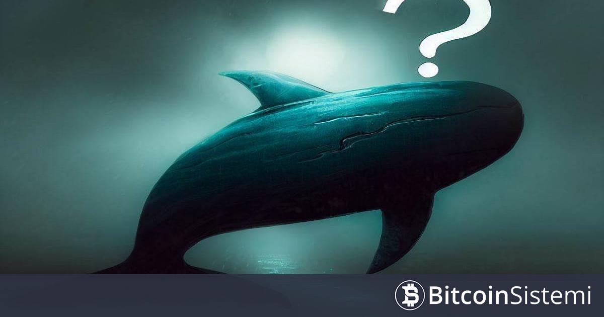 Binance ve Coinbase’de Listeli Altcoinde Balina Alarmı: Çok Yüklü Satış Yapmış Olabilir!