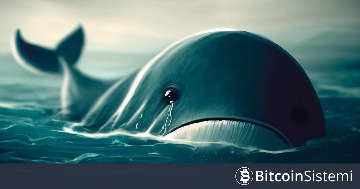 Dev Altcoin Balinası Düşüşe Dayanamadı: Altcoinlerini Büyük Zarar ile Sattı!