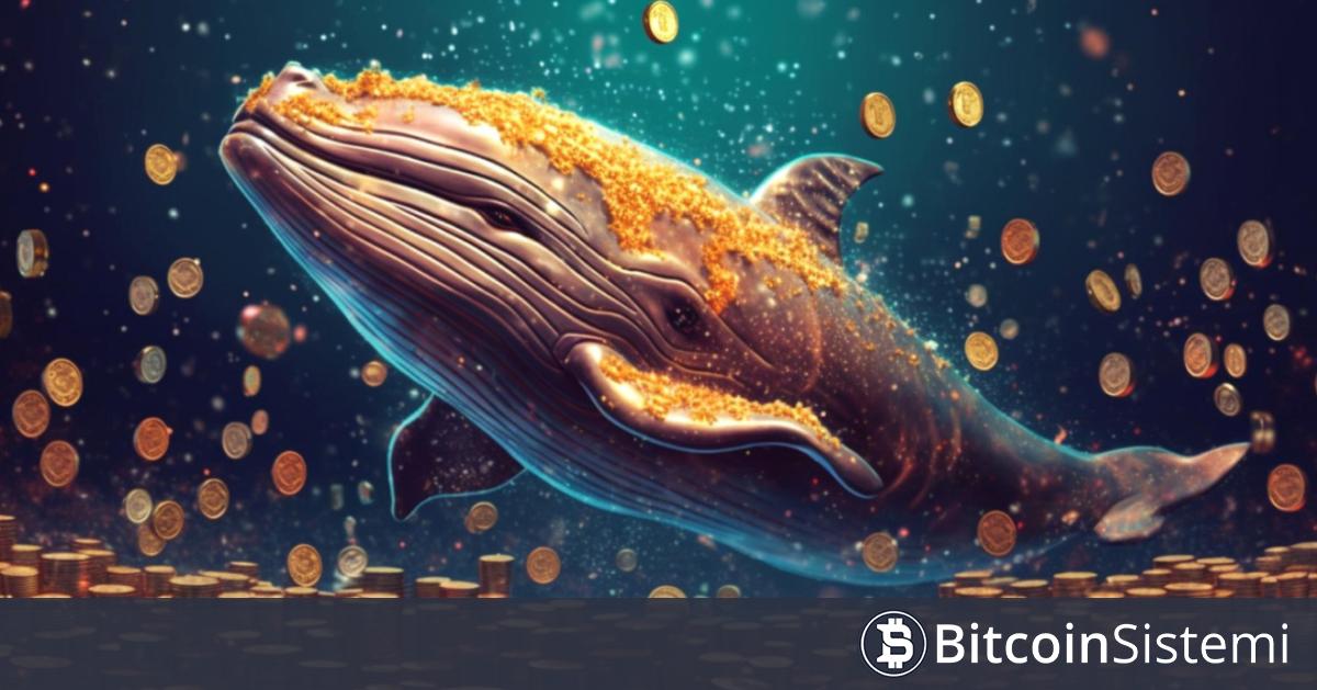 Dev Balina Bitcoin’de 40x Short Pozisyon Açtı, Boğaların Hedefi Oldu! “Fiyatı Bilerek Yükselttiler!”- Balina Bu Altcoinde İse Yükseliş Bekliyor!