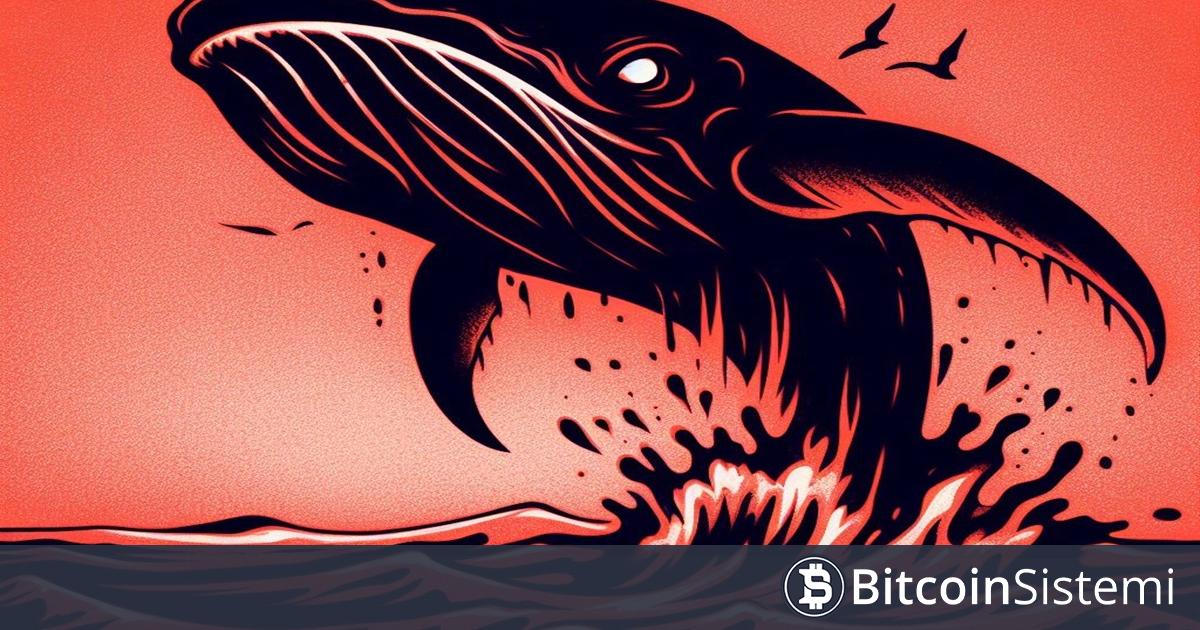 Dikkat: Devasa Balina, Binance Listeli Bu Altcoini Büyük Dump’ladı! Fiyatta Derin Gerileme Var!