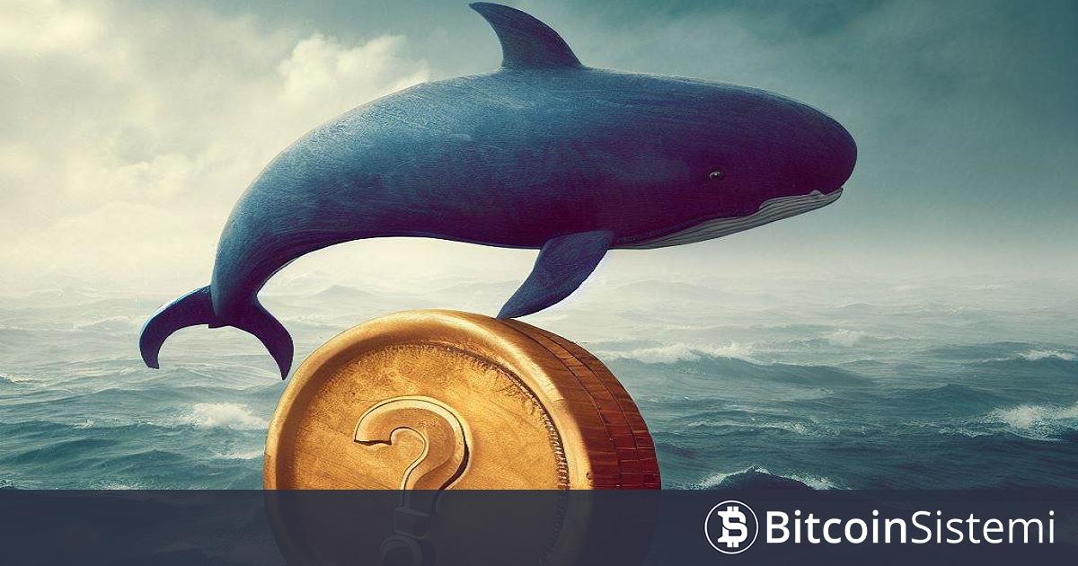 Ethereum’da 50x Kaldıraç ile Bilerek Likidasyona Uğrayan Gizemli Dev Balina, Bu Kez Başka Bir Altcoinde Long Pozisyonlarını Kapattı!