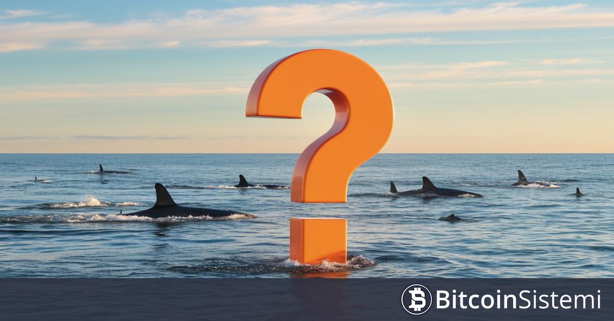 Piyasa Düşüşteyken Devasa Altcoin Balinaları Hareketlendi! İşte Son Yaptıkları İşlemler