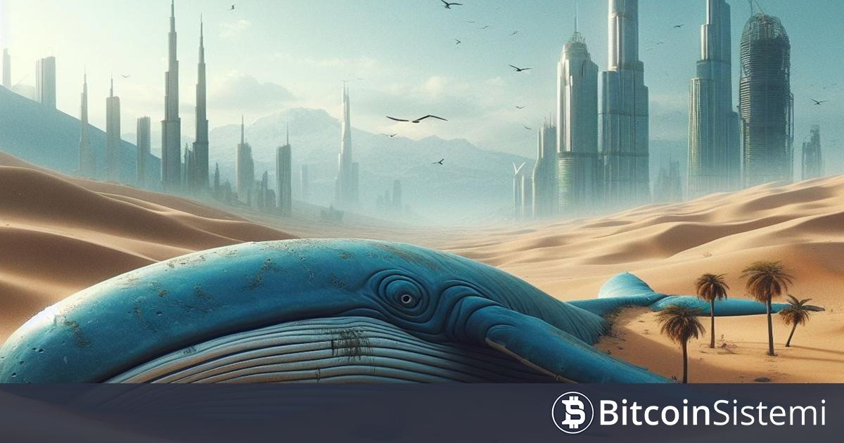 Son Altcoin Düşüşlerinden Sonra Likidasyon Tehlikesi Baş Gösterdi! Fiyat Bu Seviyeye Düşerse 238 Milyon Dolar Buhar Olabilir!
