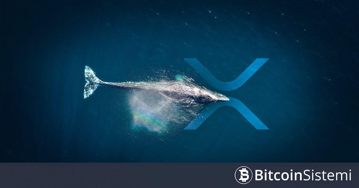 Ripple (XRP) Ağ Aktivitesi Azalıyor, Balinalar Borsalardan XRP Çekiyor! Anlamı Ne? Analist, Beklediği Fiyat Hareketini Paylaştı!