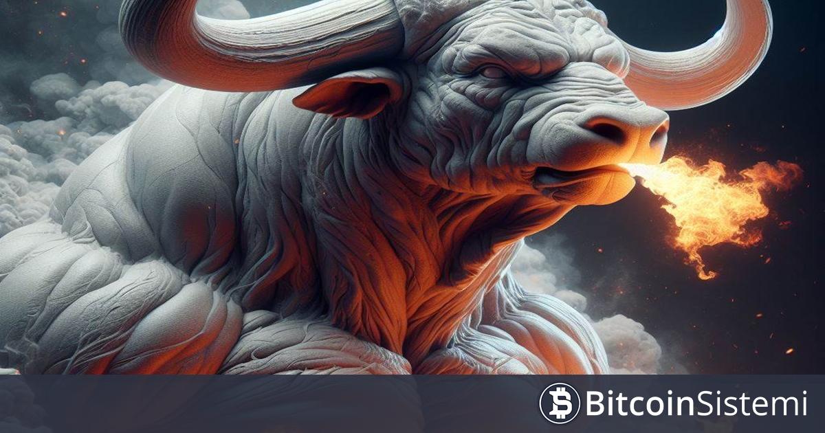 Bitcoin ve Altcoinlerde Zirve Zaten Görüldü Mü Yoksa Daha Büyük Boğa Hala Bekleniyor Mu? İşte Veriler