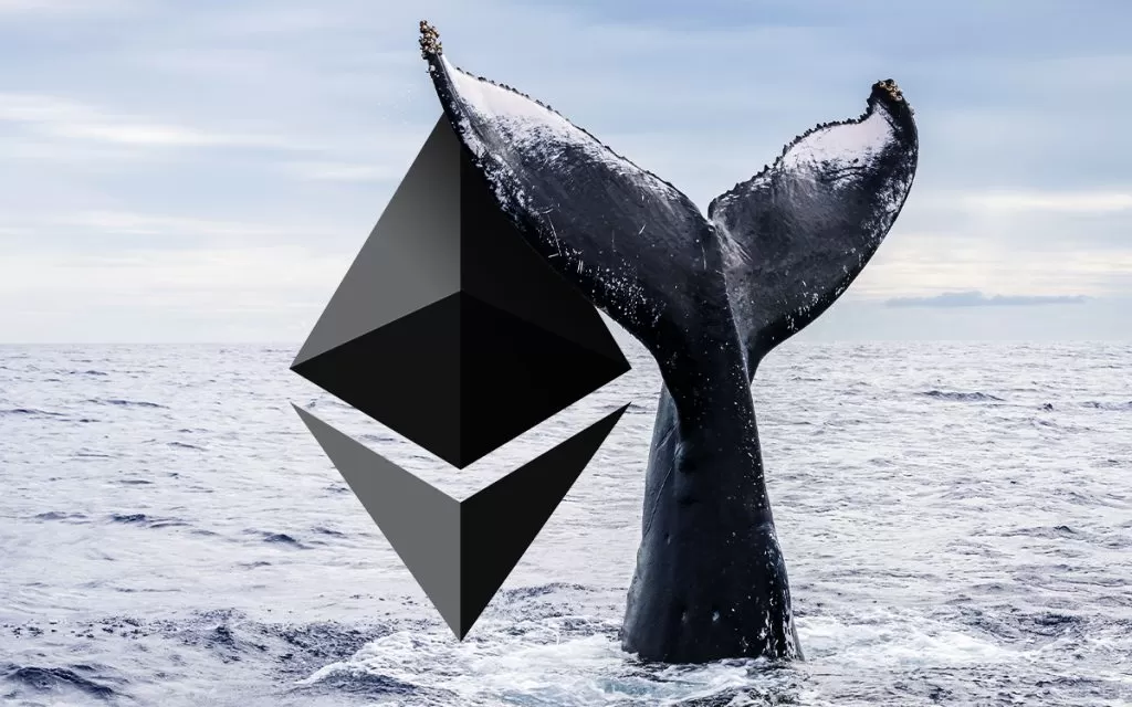 0.31 Dolardan Ethereum Satın Alan Kripto Para Balinası Yine Aktifleşti! İşte Yaptığı İşlemler