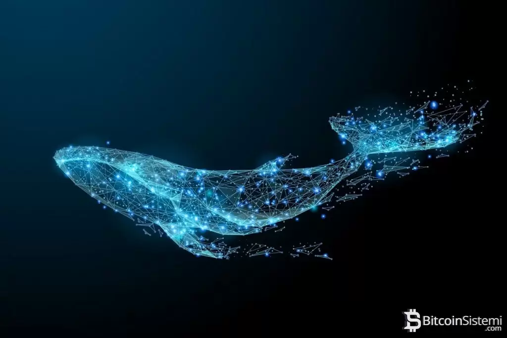 Devasa Balina, Bu Altcoinden Yüklü Satın Aldı: En Büyük İkinci Sahip Haline Geldi!