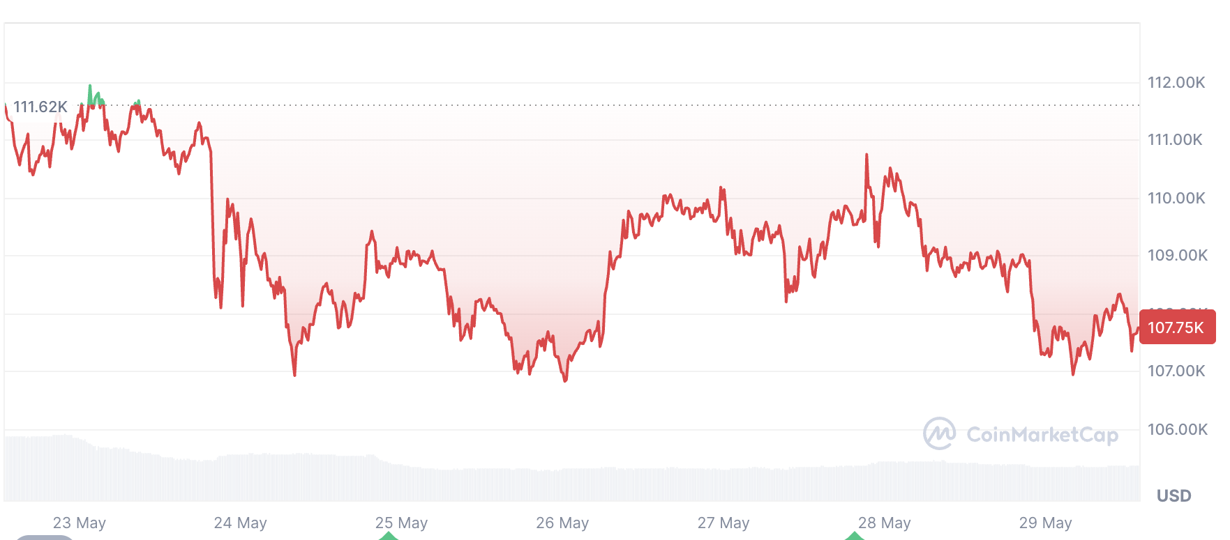Mahkeme kararı sonrası Bitcoin için 120 bin dolar beklentisi güçleniyor