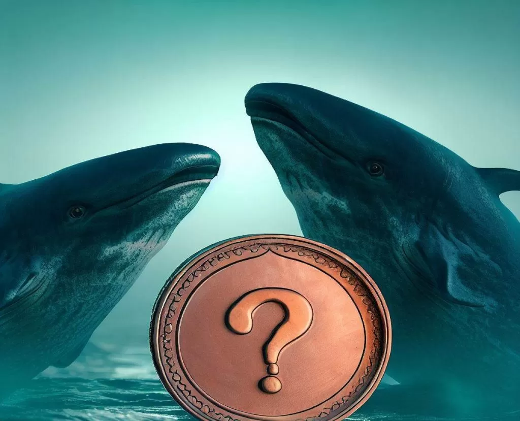 Bitcoin Balinaları Binance’i Tercih Ederken Altcoin Balinaları Bu Borsaya Koşuyor!