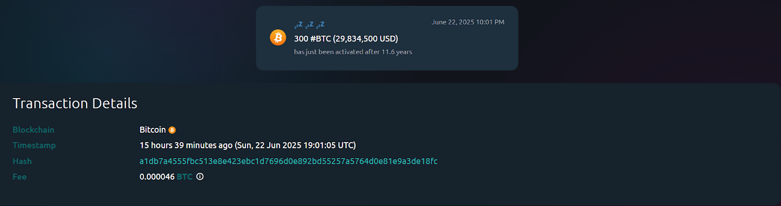 Bitcoin yatırımcısı 11 yıl bekledi, 30 milyon dolar kâr elde etti