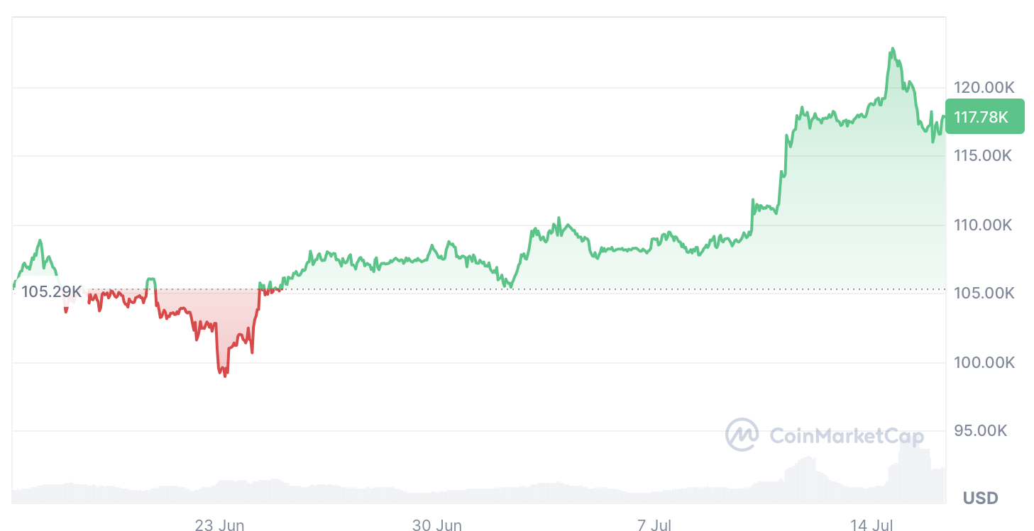 Bitcoin yaz ortasında rekor kırarken bireysel yatırımcı hala ortada yok