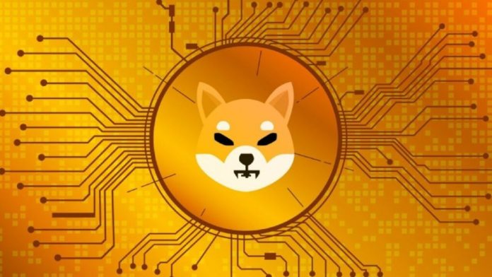 Coinbase Institutional’dan 2025’in En Büyük SHIB Transferi