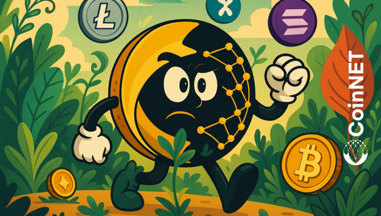 Son Günlerde Hangi Altcoin’ler Ne Kadar Yükseldi?