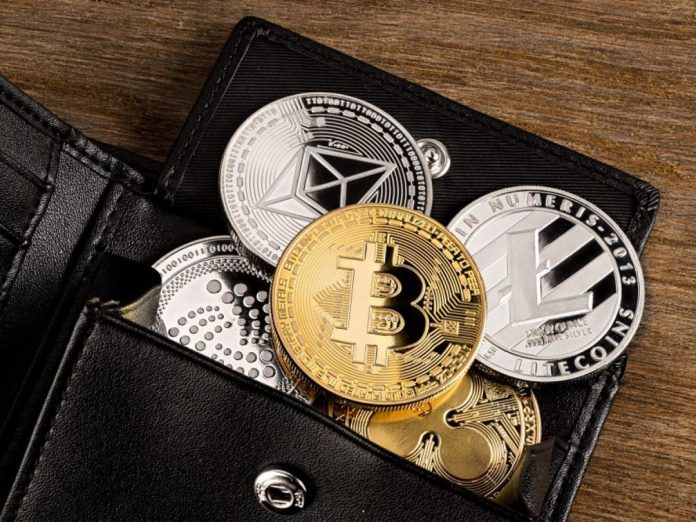 Altcoin ve Ethereum Aramaları Çok Yıllık Zirvede