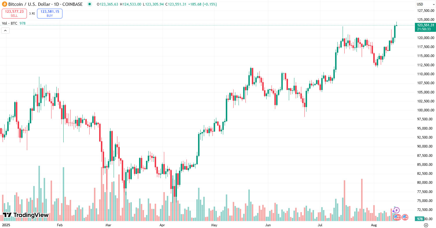 Bitcoin ya Godzilla gibi yükselecek ya da altcoin çılgınlığıyla düşecek — Samson Mow