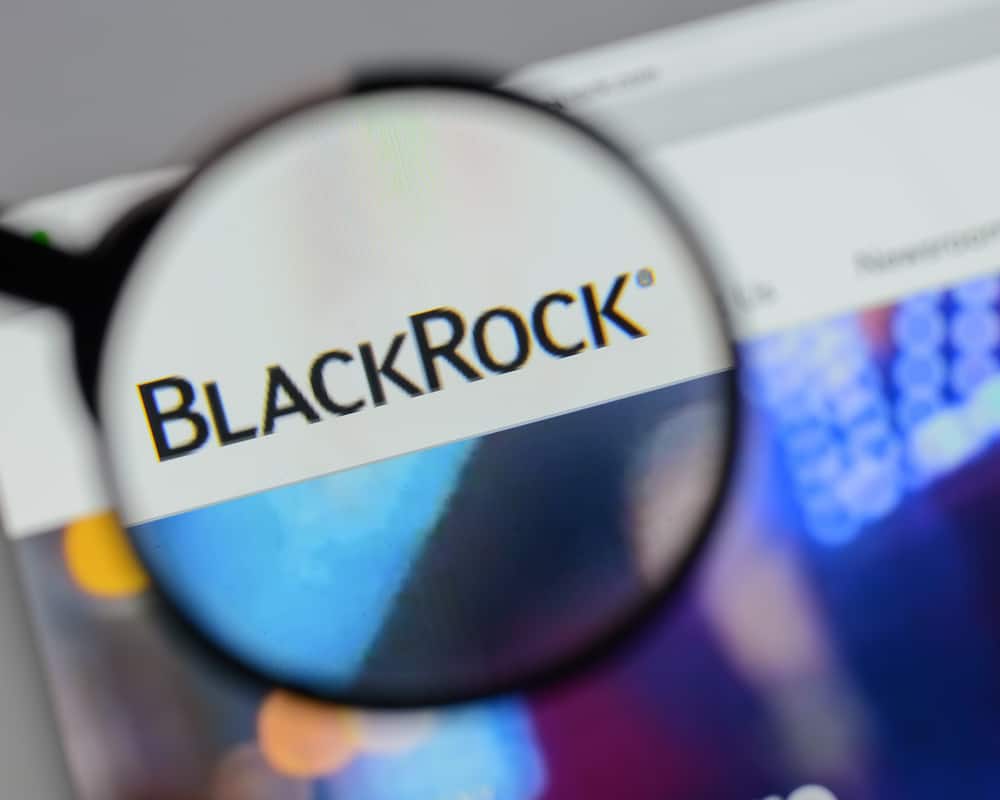 BlackRock, XRP ETF Planlarını Reddederek Spekülasyonlara Son Verdi