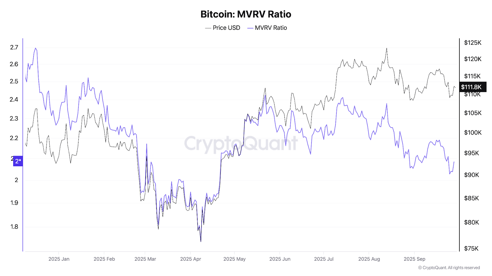 Bitcoin piyasasındaki dev tasfiyeye rağmen boğa rallisi bitmemiş olabilir