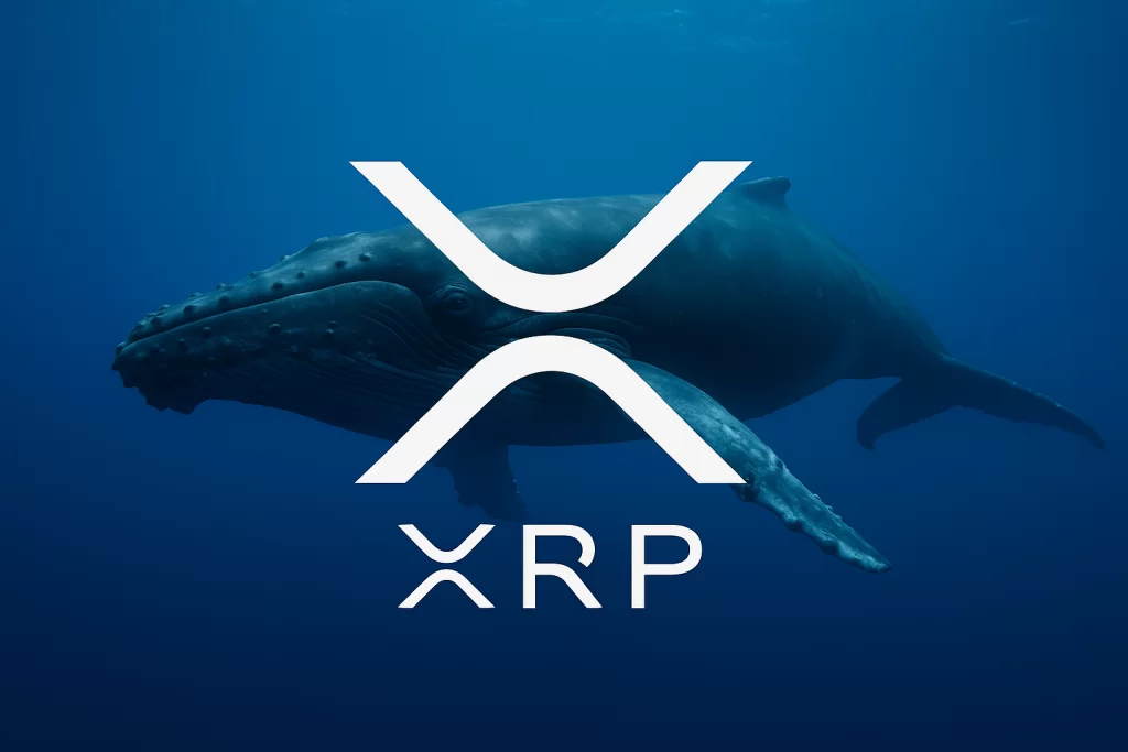 Balinalar XRP’ye 1,5 Milyar Dolar Yatırdı, Ayı Piyasası Testinde Hala Günde 8.700 Dolar Kazanıyor