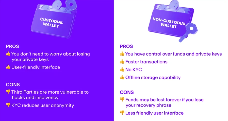 Visa, Wallet, Payments, KYC, Stablecoin, Polygon, Self Custody, Companies
