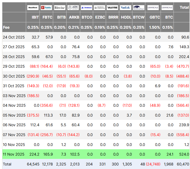 Bitcoin ETF’lerinde dev sıçrama! 524 milyon dolar geri döndü