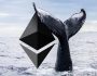0.31 Dolardan Ethereum Satın Alan Kripto Para Balinası Yine Aktifleşti! İşte Yaptığı İşlemler