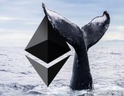 0.31 Dolardan Ethereum Satın Alan Kripto Para Balinası Yine Aktifleşti! İşte Yaptığı İşlemler