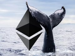0.31 Dolardan Ethereum Satın Alan Kripto Para Balinası Yine Aktifleşti! İşte Yaptığı İşlemler