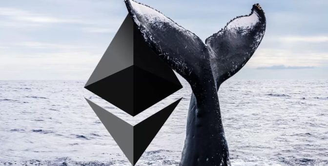 0.31 Dolardan Ethereum Satın Alan Kripto Para Balinası Yine Aktifleşti! İşte Yaptığı İşlemler