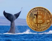 Dün 80.000 BTC’yi Hareket Ettiren Dev Erken Dönem Bitcoin Balinasının Kimliği ve Sebebi Hakkında Ciddi Bir Teori Ortaya Atıldı!
