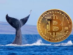 Bitcoin’de 46 Milyon Dolar Kazanan Gizemli Balina, Rekor Gelince İyice Aktif Oldu: İşte Son Kar Durumu ve Hamleleri