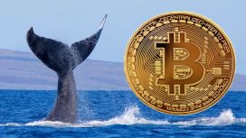 Bitcoin’de 46 Milyon Dolar Kazanan Gizemli Balina, Rekor Gelince İyice Aktif Oldu: İşte Son Kar Durumu ve Hamleleri