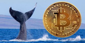 Bitcoin’de 46 Milyon Dolar Kazanan Gizemli Balina, Rekor Gelince İyice Aktif Oldu: İşte Son Kar Durumu ve Hamleleri