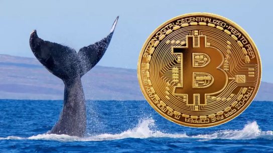 1.000 Doların Altından Bitcoin Satın Alan Çok Eski İki Gizemli BTC Balinası Uyandı! İşte Bilinenler