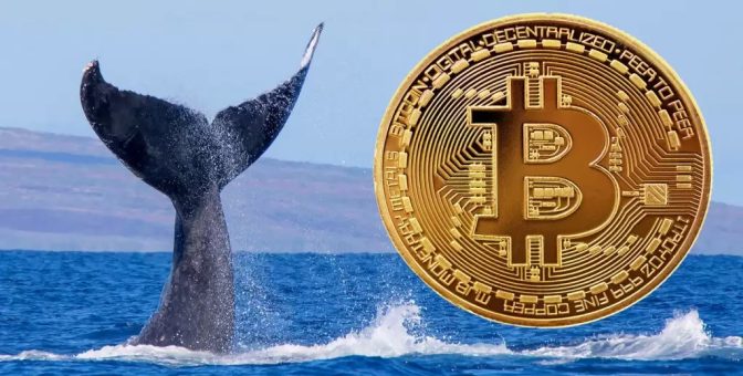Dün 80.000 BTC’yi Hareket Ettiren Dev Erken Dönem Bitcoin Balinasının Kimliği ve Sebebi Hakkında Ciddi Bir Teori Ortaya Atıldı!