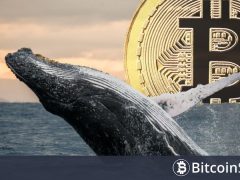 10.000 BTC’den Fazla Tutan Devasa Bitcoin Balinaları Şu Anda Ne Yapıyor? Alıyor Mu, Satıyor Mu?