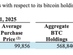 1,34 milyar dolarlık daha BTC aldı