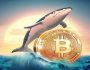 14 Yıldır Hareketsiz Kalan İki Bitcoin Cüzdanında Dikkat Çeken Hareketlilik! Binlerce Bitcoin Transfer Edildi! İşte Detaylar