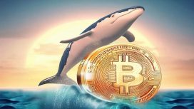 14 Yıldır Hareketsiz Kalan İki Bitcoin Cüzdanında Dikkat Çeken Hareketlilik! Binlerce Bitcoin Transfer Edildi! İşte Detaylar