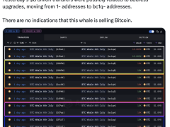 14 yıl sonra hareket eden 8,6 milyar dolarlık Bitcoin satış sinyali vermiyor