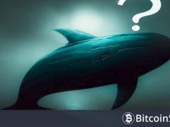 Dev Kurumsal Balina Yeniden Hareketlendi: Binance’e Yüklü Miktarda Altcoin Transferi Yaptı, Fiyat Tepki Verdi!